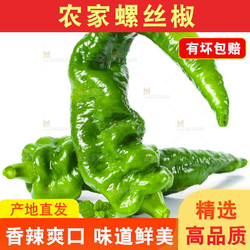 白底上的新鲜螺丝椒