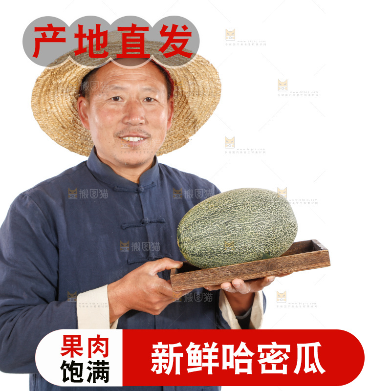 农民手里拿着哈蜜瓜