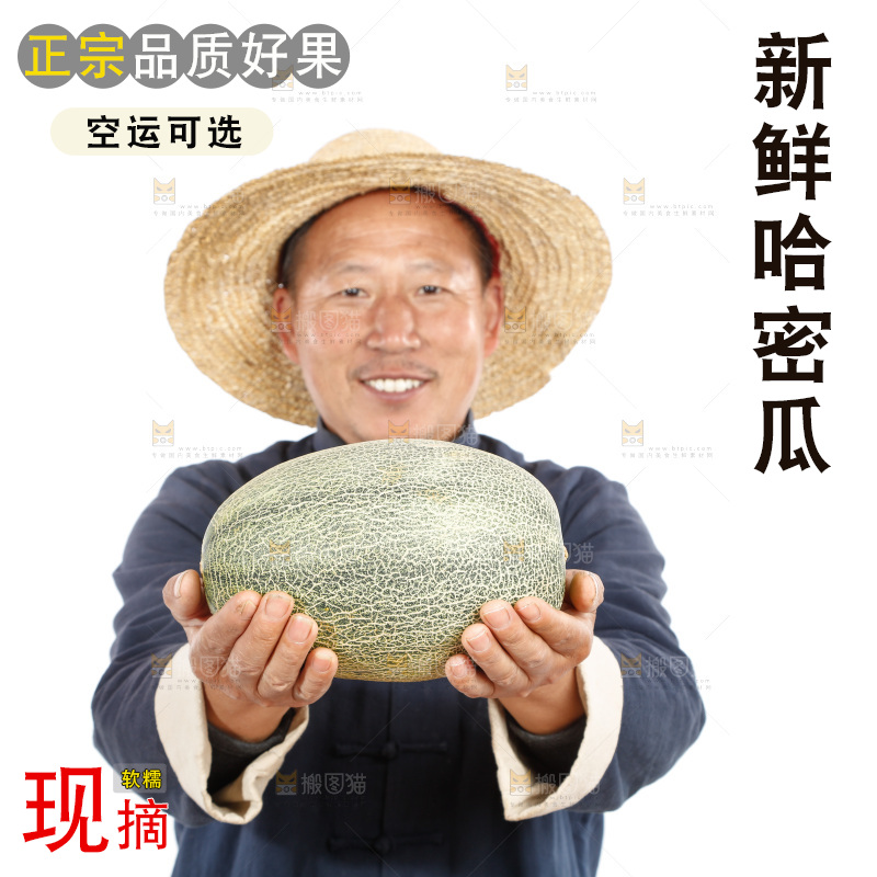 农民手里拿着哈蜜瓜