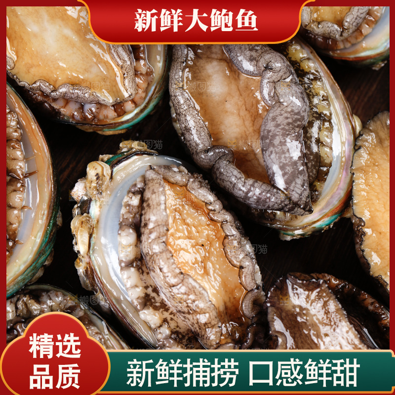 黑底上的鲍鱼