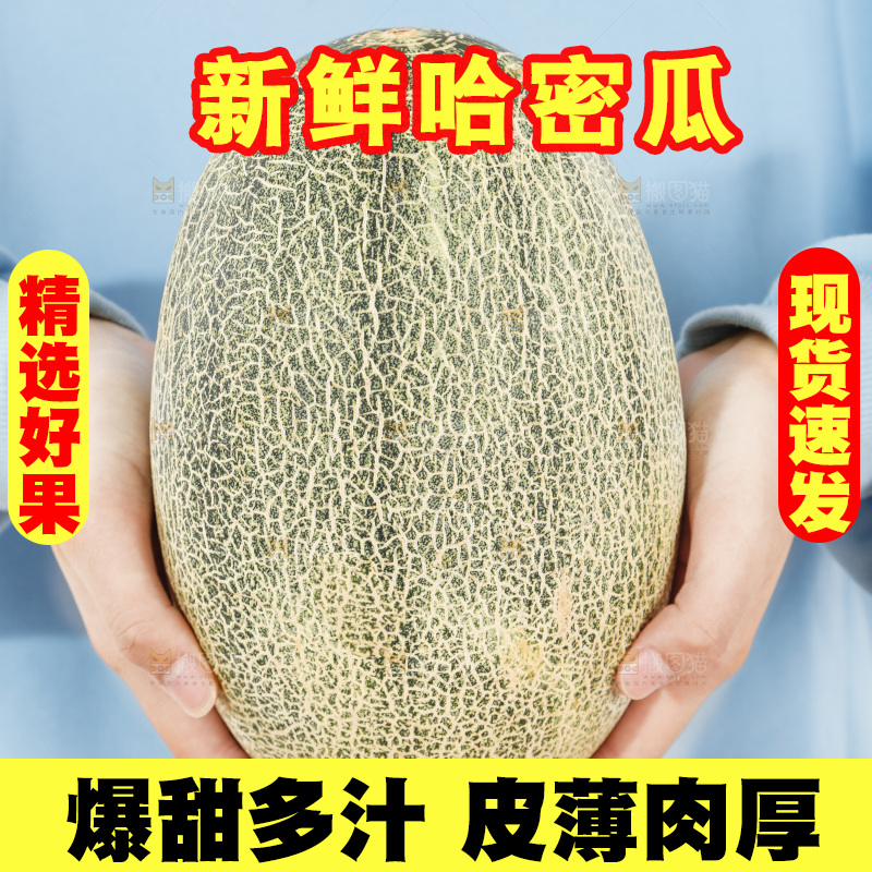 手里抱着哈蜜瓜