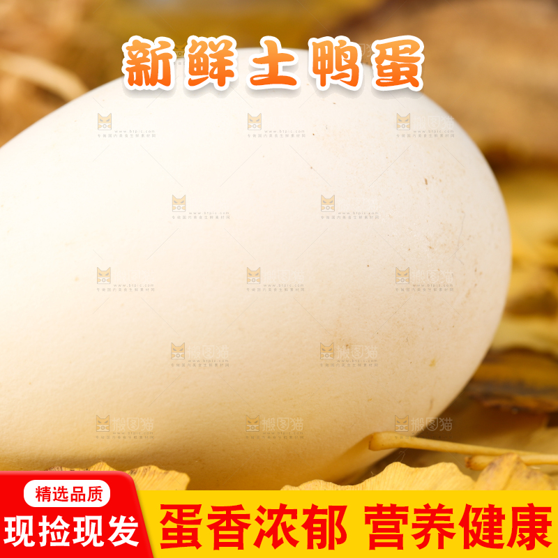 树叶上的鲜鸭蛋