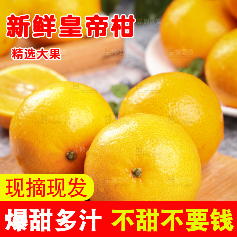 木板上的皇帝贡柑