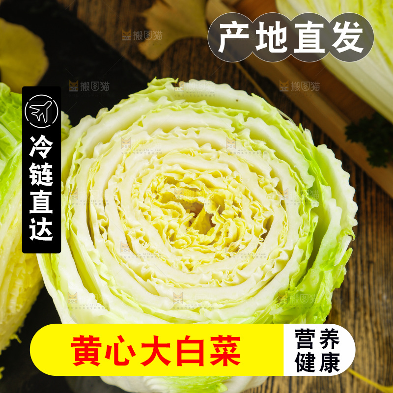 木底上放着切开的山东大白菜