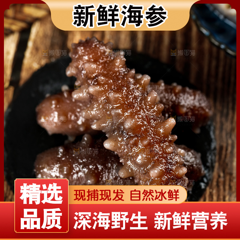 黑石板上的海参