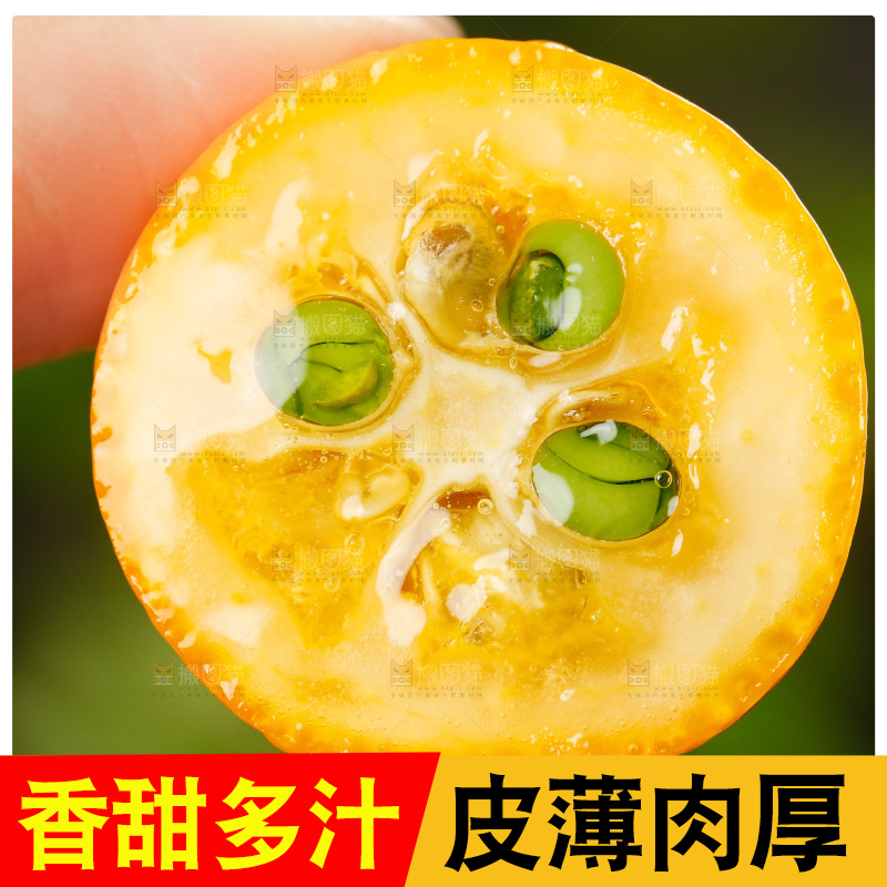 手里拿着小金桔
