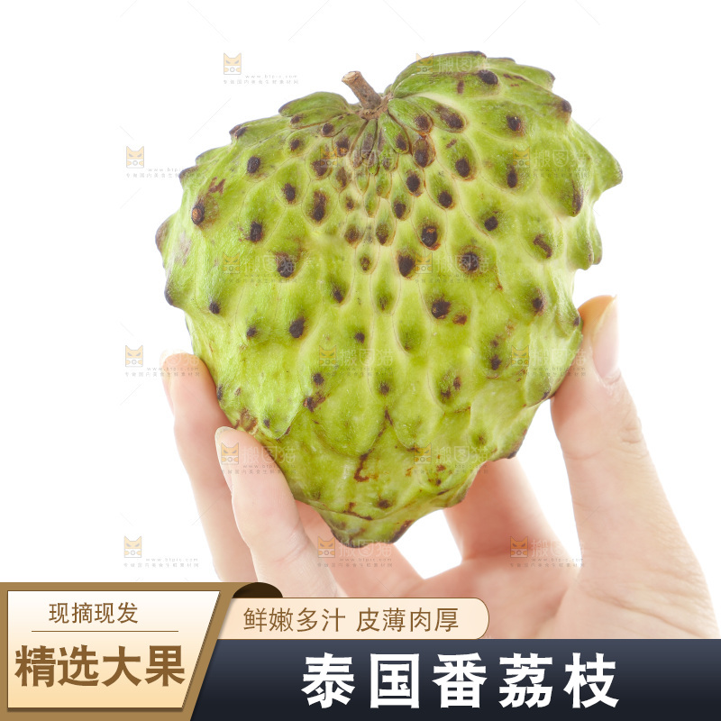 手里拿着释迦果