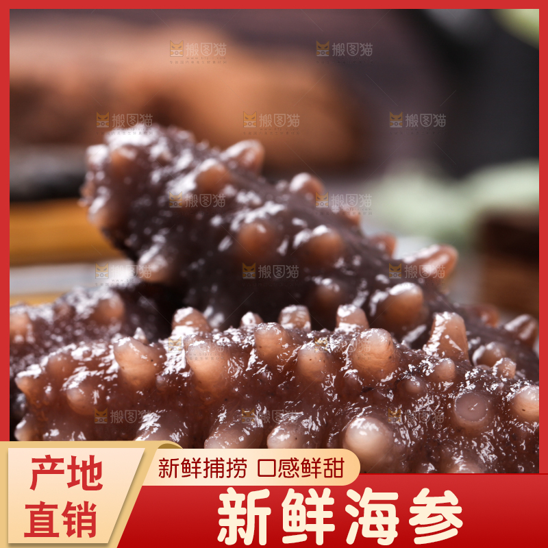 木底上的淡干海参