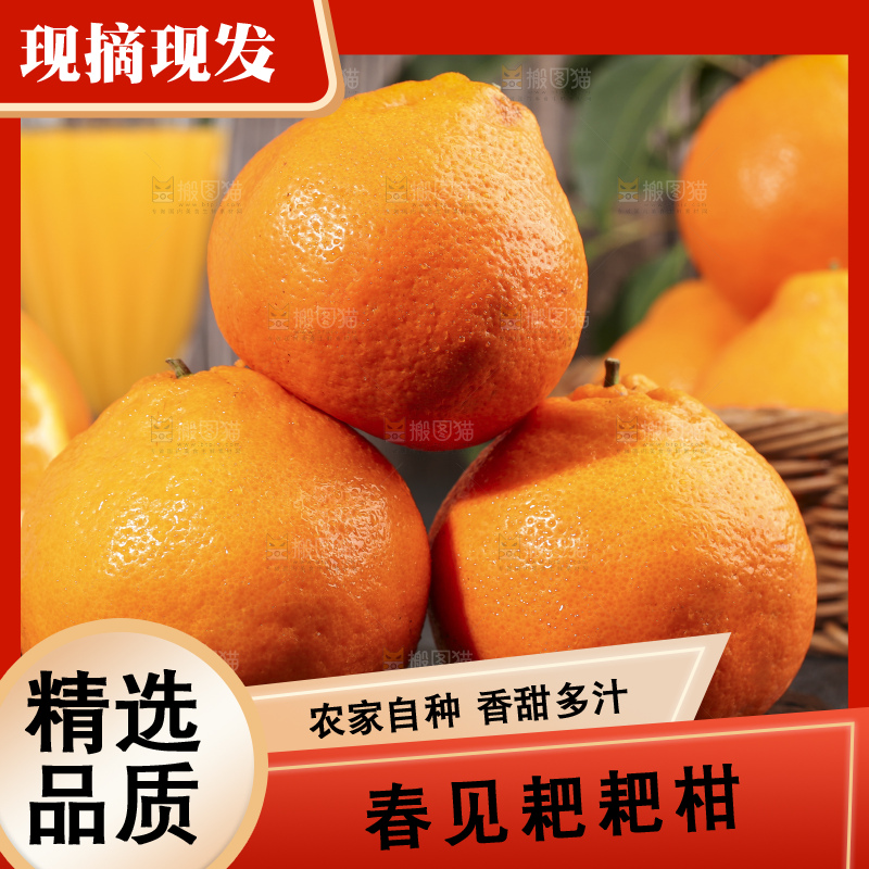 黑石板上的春见耙耙柑