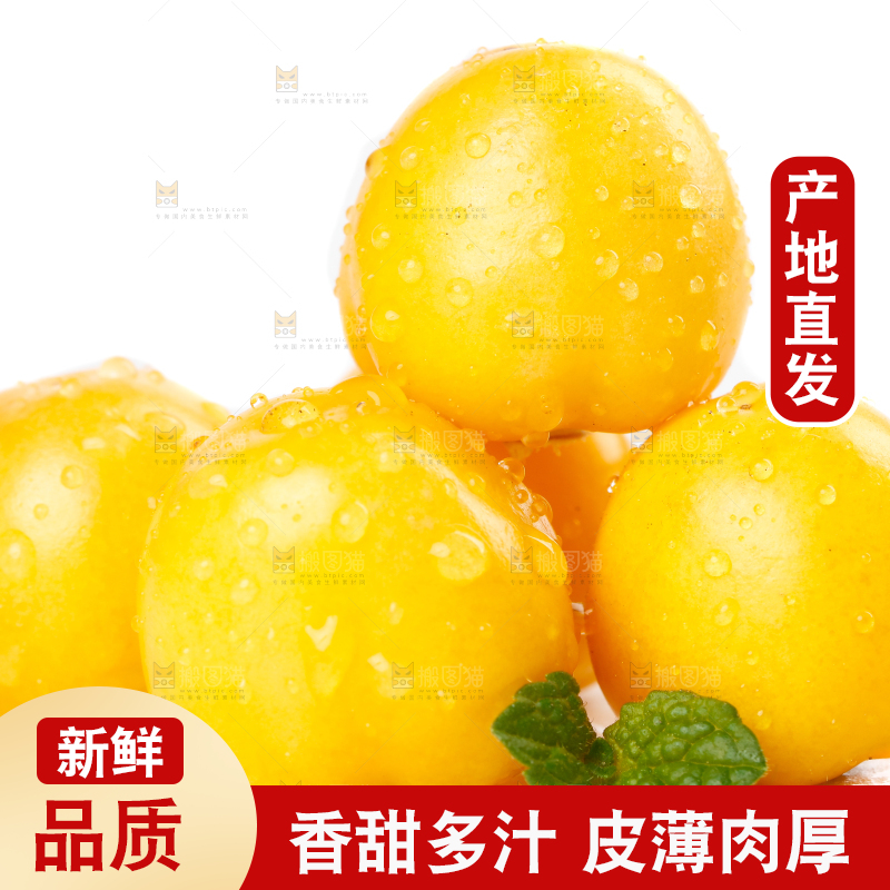 白底上摆放着姑娘果