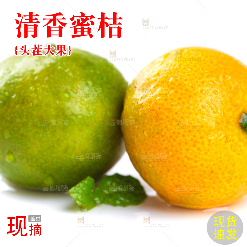 白底上的桂林清香蜜桔