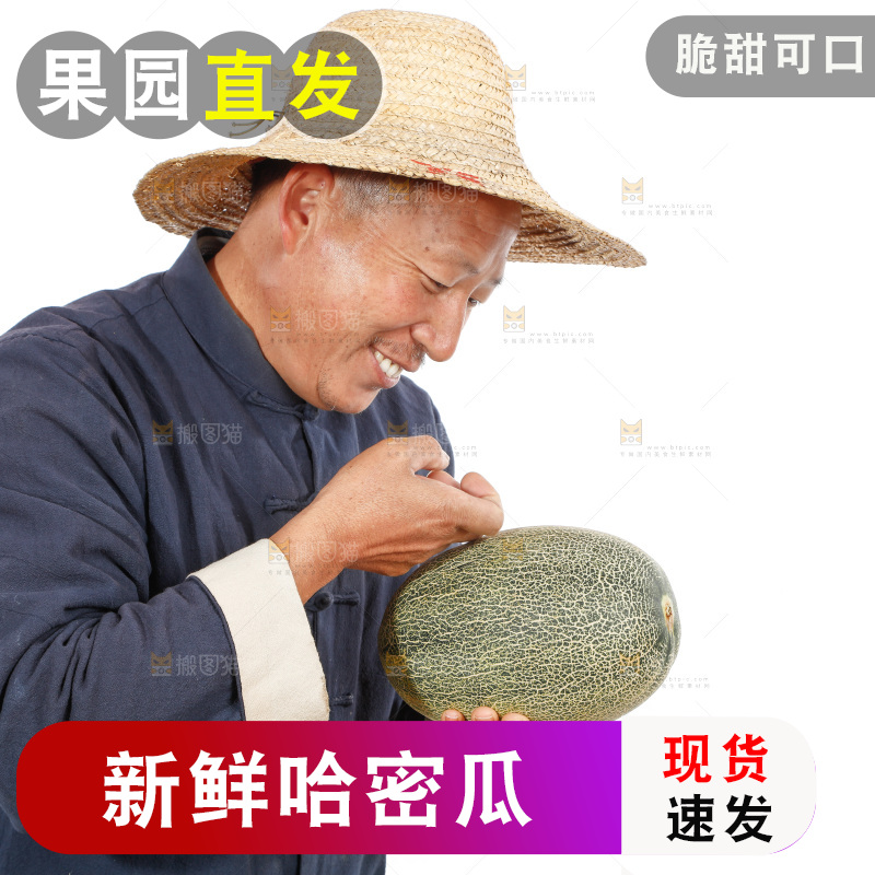 农民手里拿着哈蜜瓜