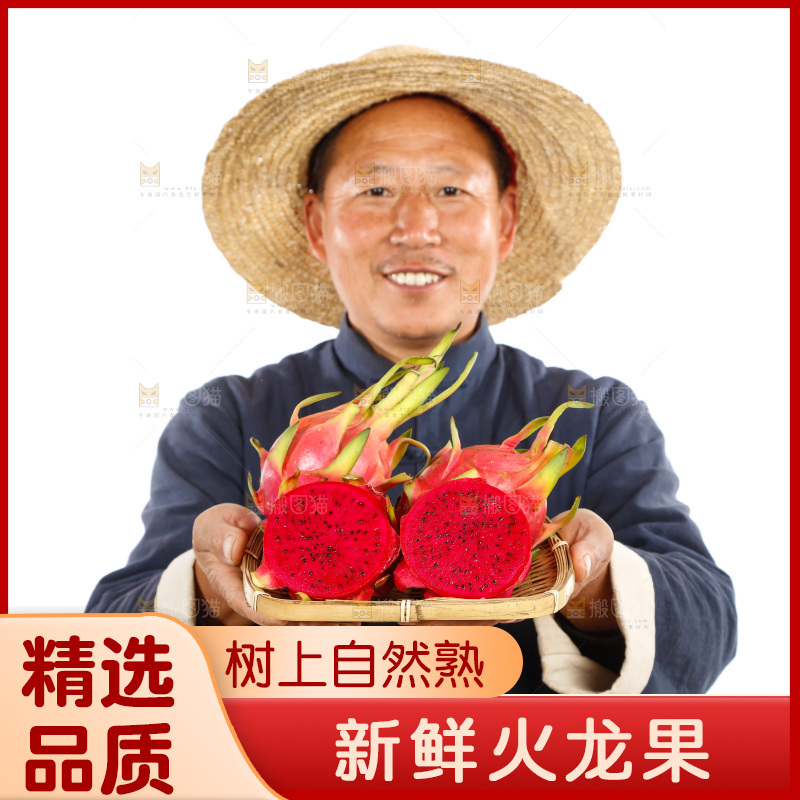 农民手里拿着红心火龙果