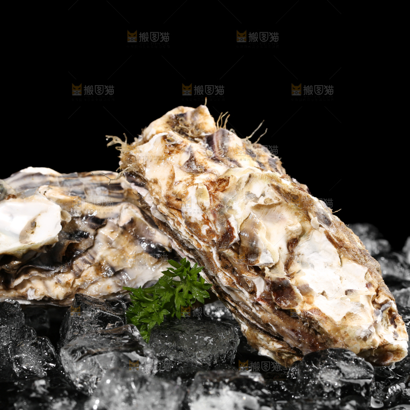 黑底上的冰镇生蚝