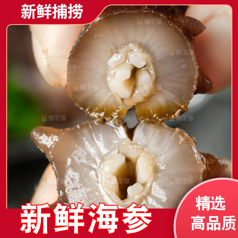 手拿切开的海参