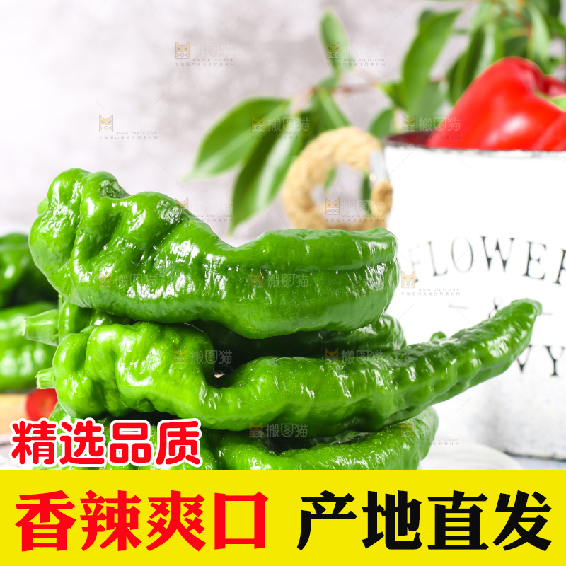 石板上的青辣椒