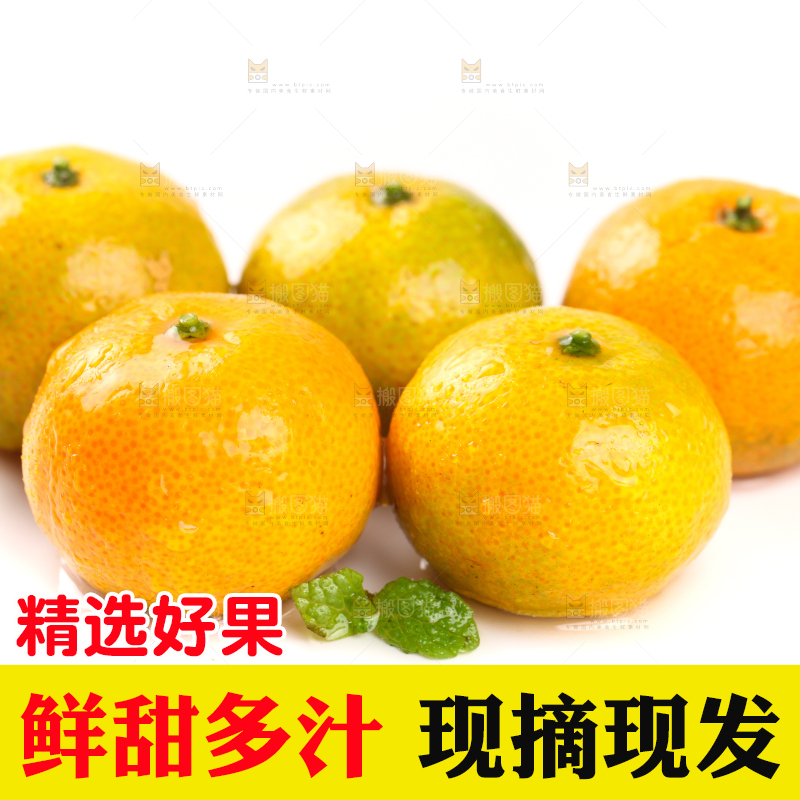 白底上的桂林清香蜜桔
