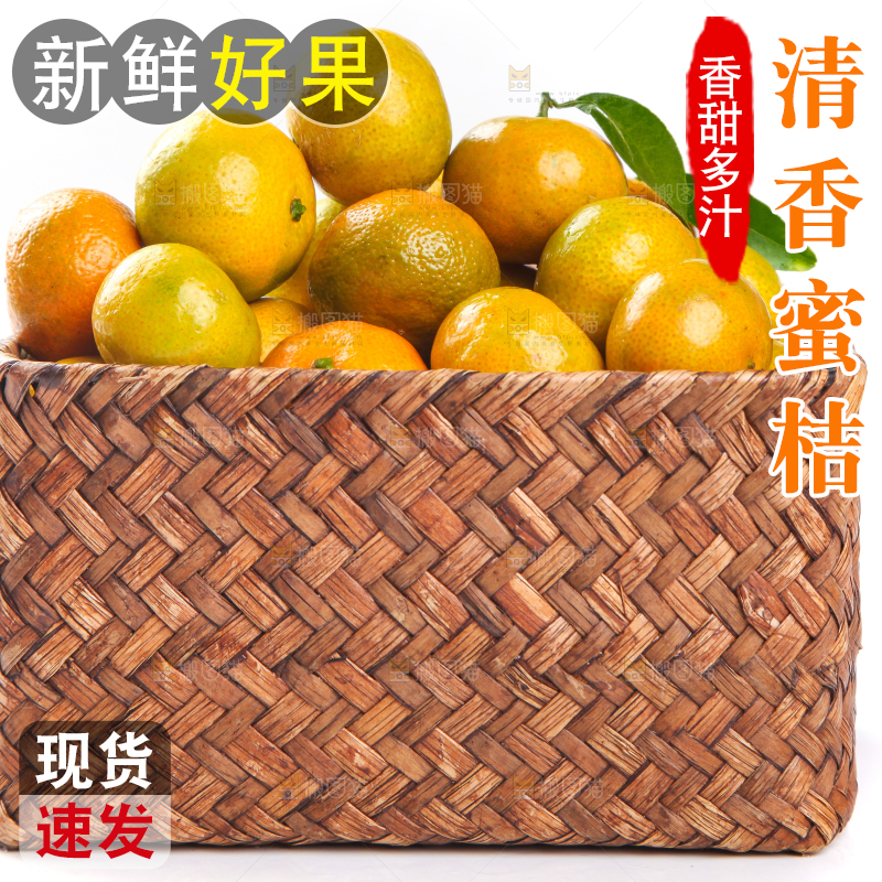一筐清香蜜橘放在白底上