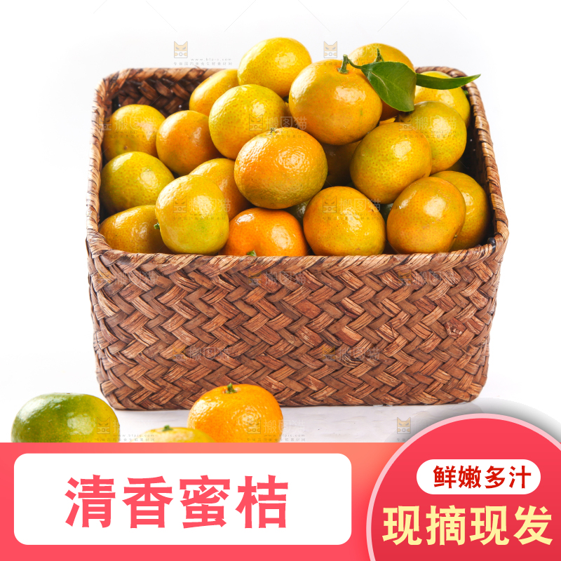 一筐清香蜜橘放在白底上