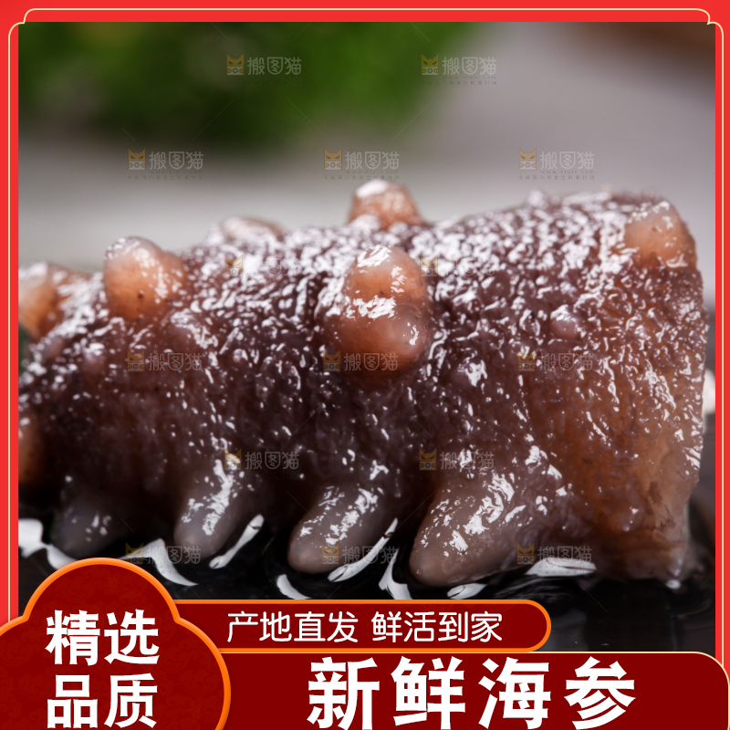 黑石板上的海参