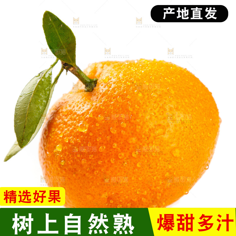 白底上摆放着蜜橘