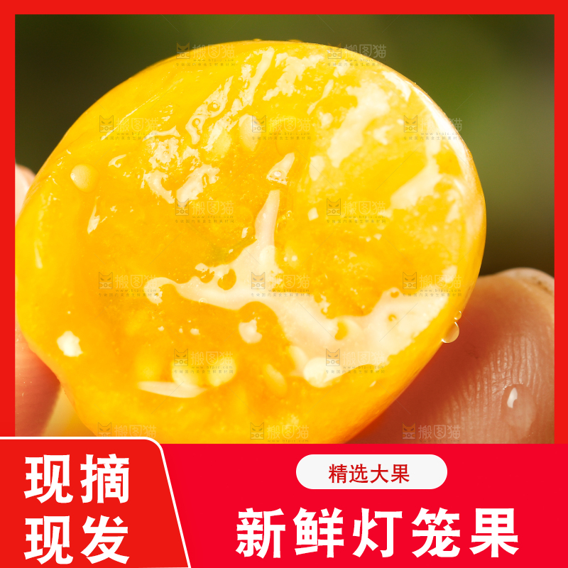 手里拿着灯笼果