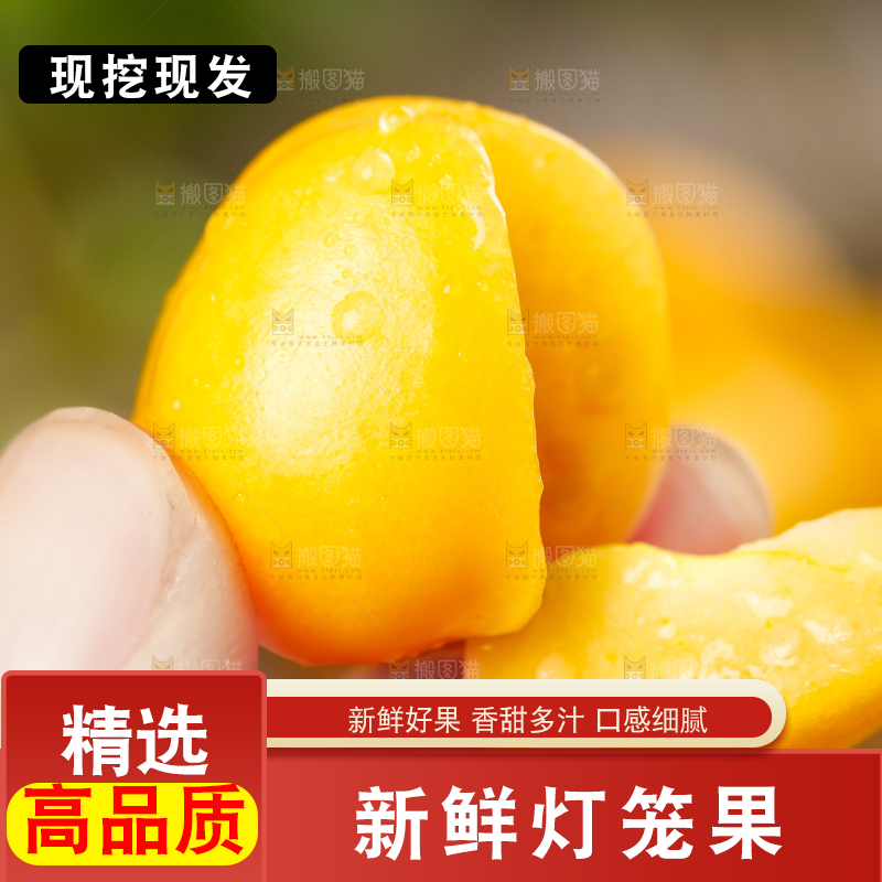 手里拿着灯笼果