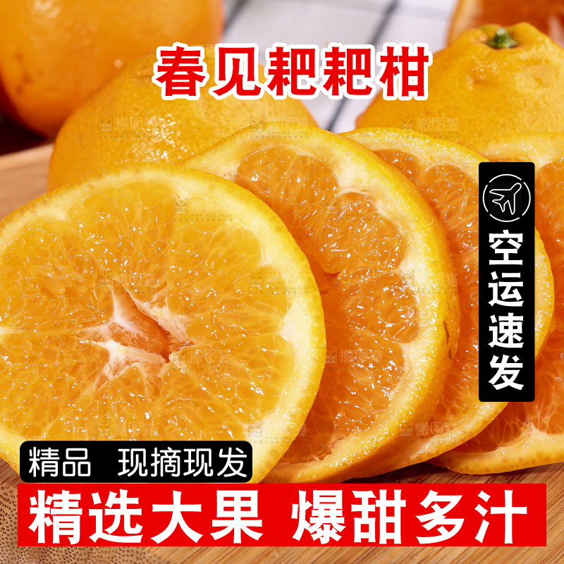 木底上放着切开的四川耙耙柑