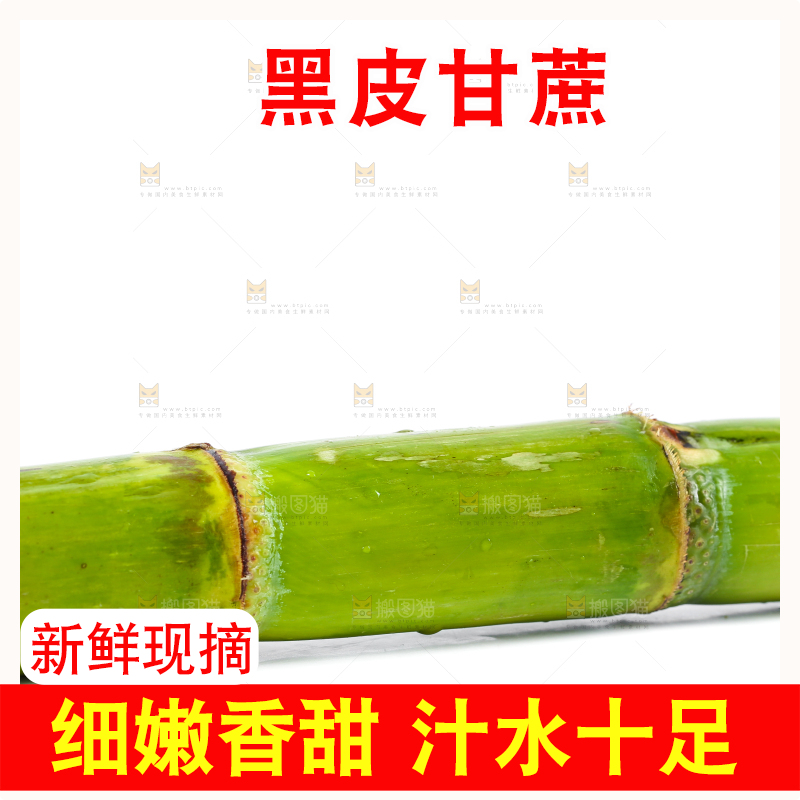 白底上的陶山青皮甘蔗