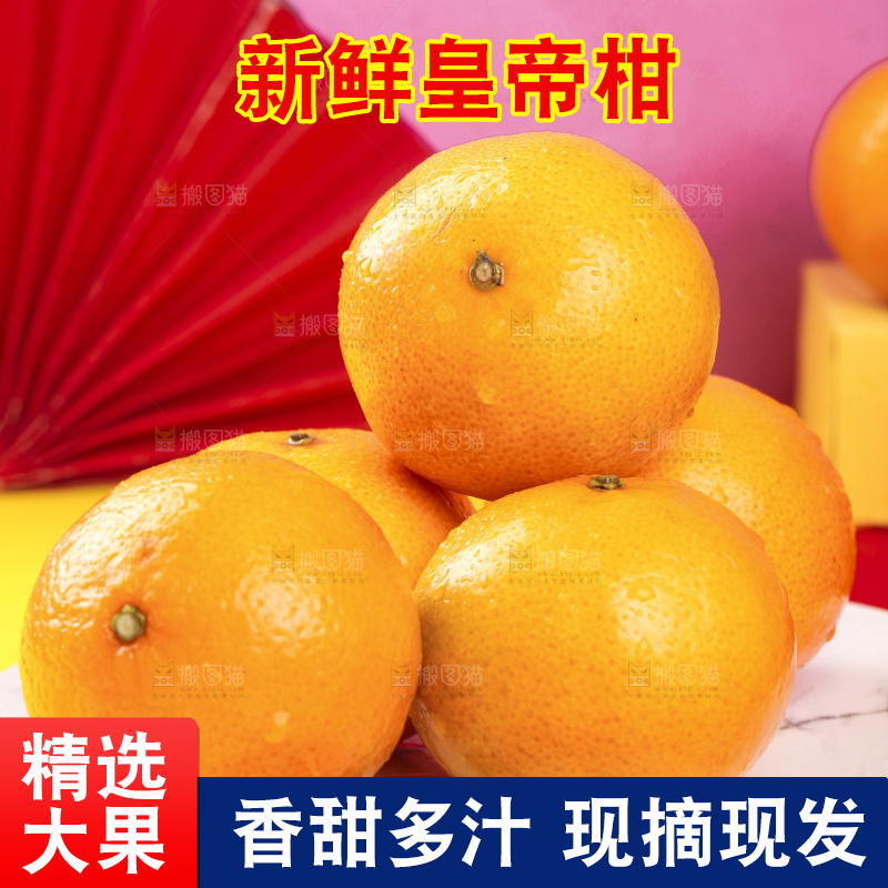 石盘上的广西皇帝柑
