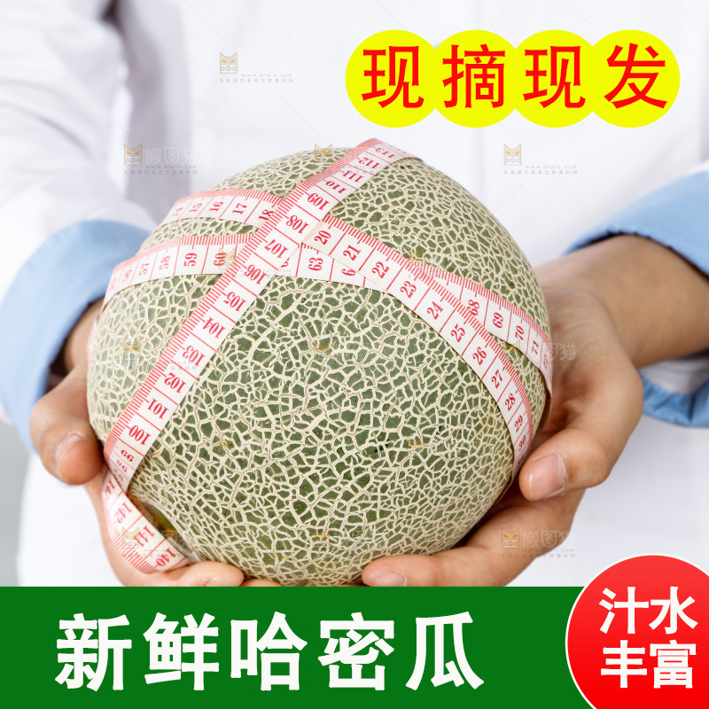 手里正在测量哈蜜瓜