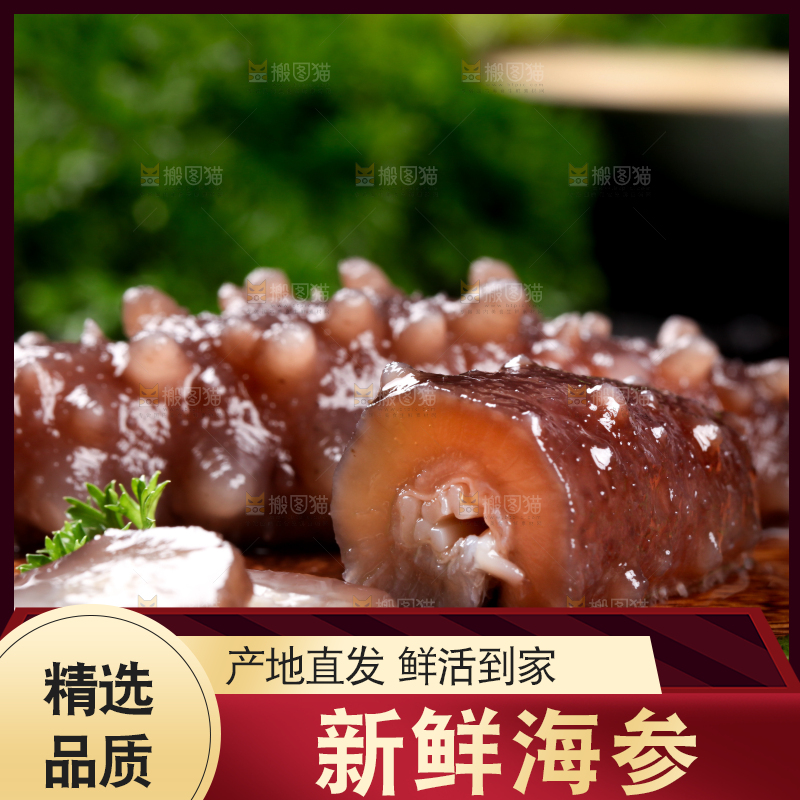 木底上的海参