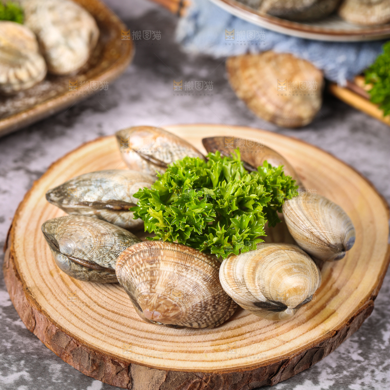 木底上新鲜蛤砺