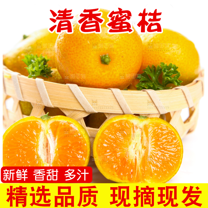 一筐小蜜桔放在白底上