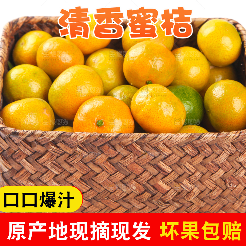 一筐清香蜜橘放在白底上