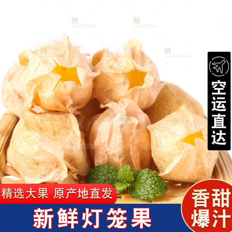 竹篮里放着菇娘果