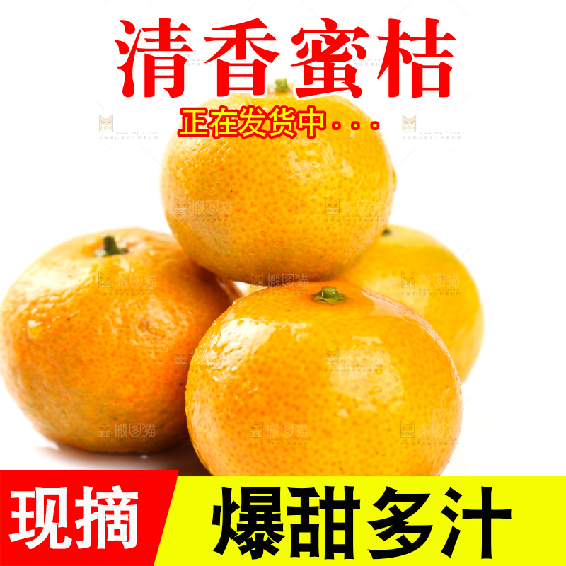 白底上的桂林清香蜜桔