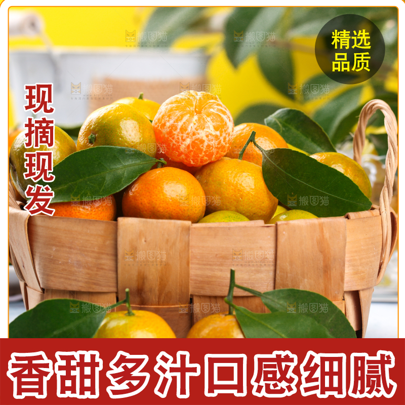 浅底上放着一筐清香蜜桔