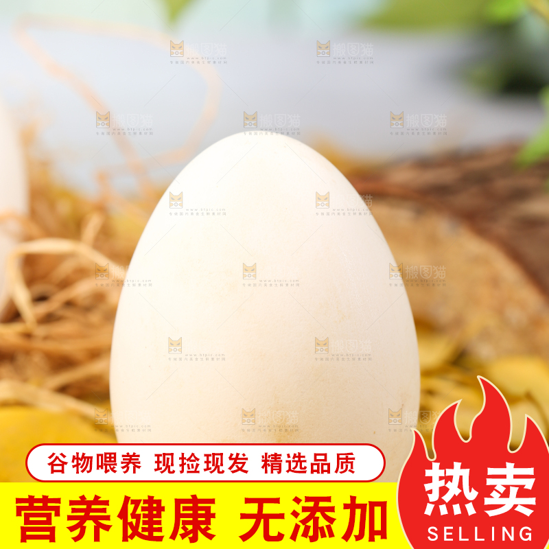 树叶上的鲜鸭蛋