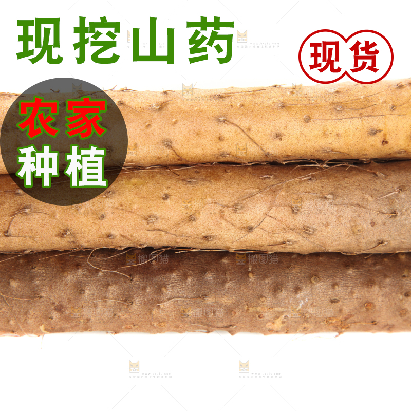 白底上摆放着山药