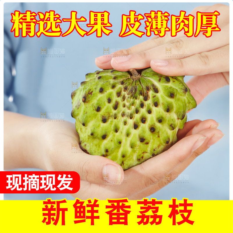 手里拿着释迦果