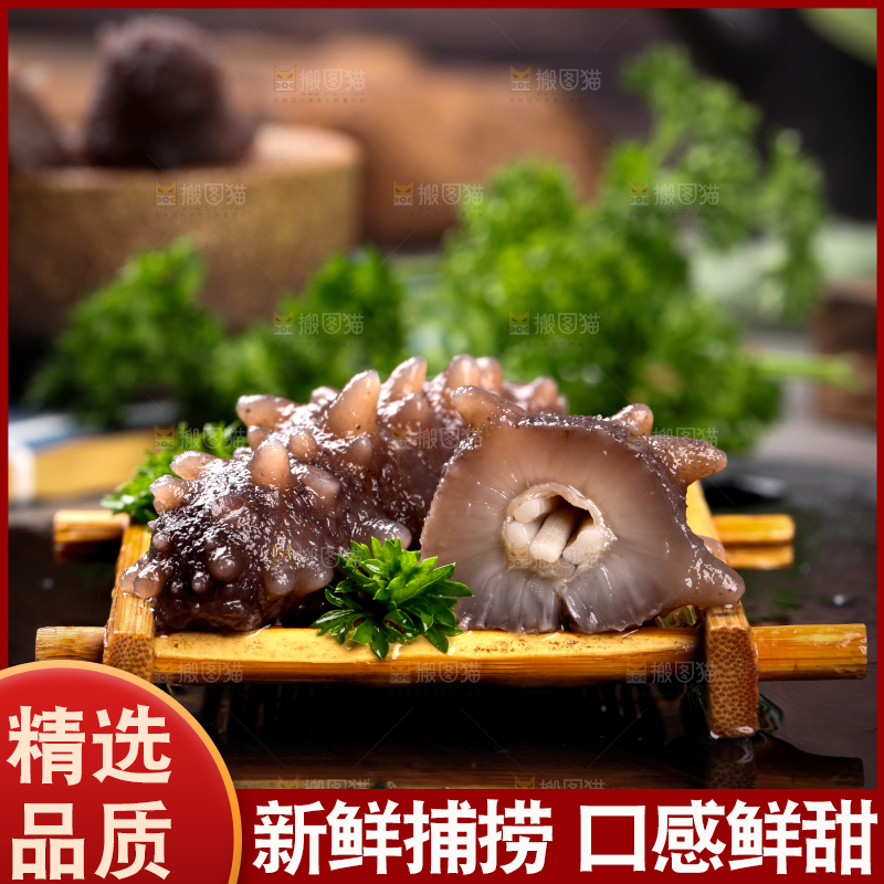 深底上的海参