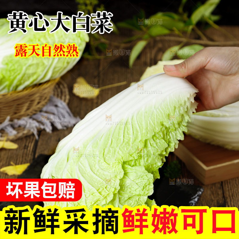 手拿大白菜叶