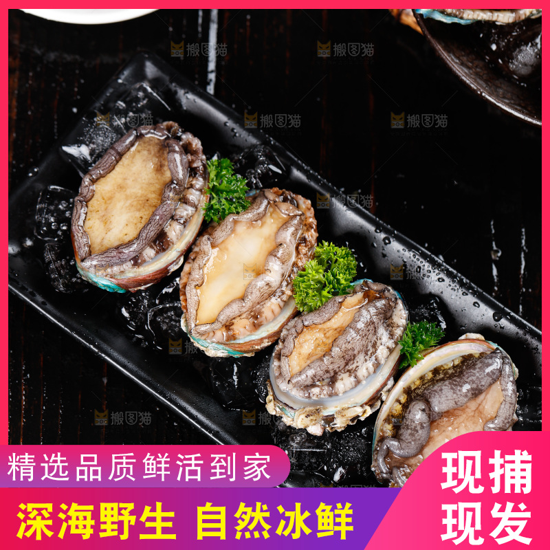 黑底上放着一盘鲜鲍鱼
