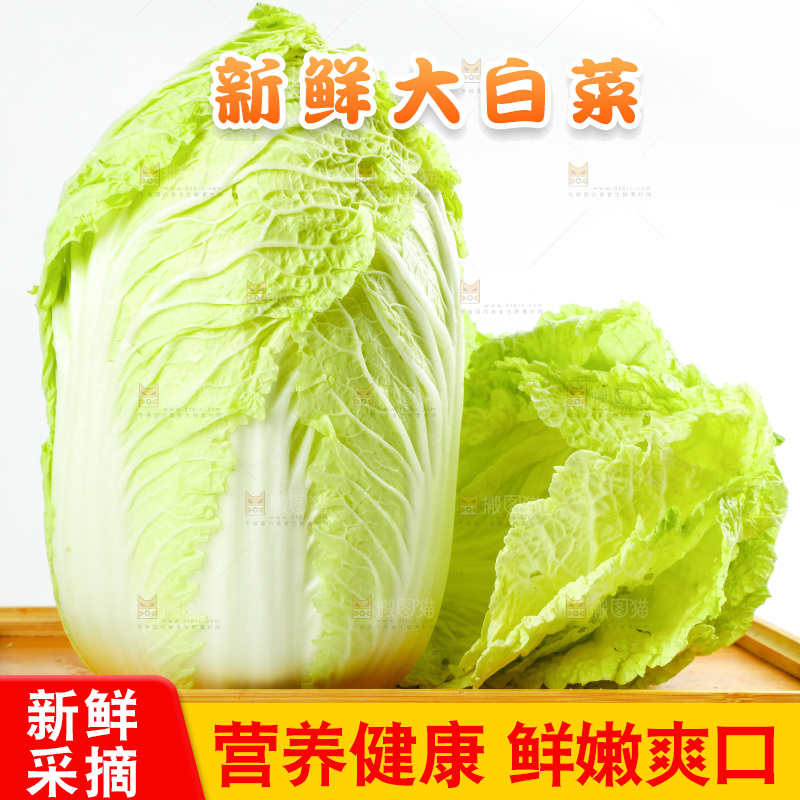 一盘大白菜放在白底上