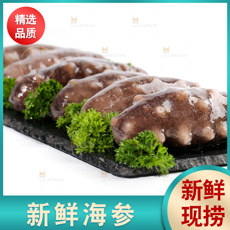 一盘刺参放在白底上