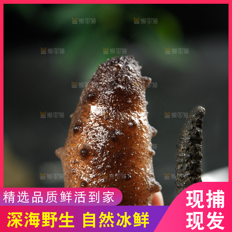 手拿海参