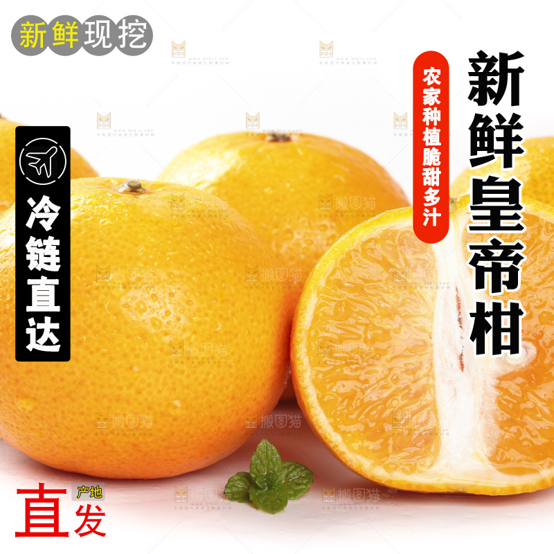 切开的皇帝贡柑放在白底上