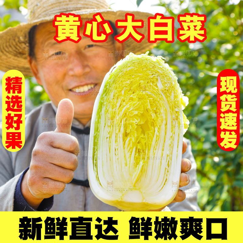 农民手拿大白菜