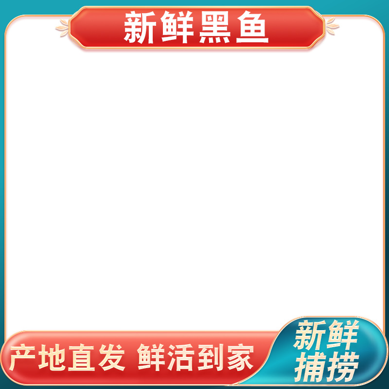 白底上放着 一条活黑鱼